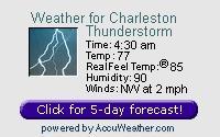 Weather Synopsis Currently Unavailable. Click here to view complete forecast for the Charleston area.